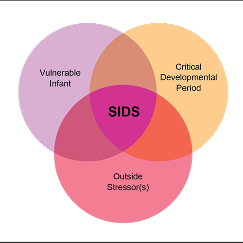 Research On Possible Causes Of SIDS Safe to Sleep