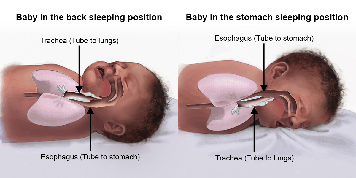 do babies sleep better on stomach